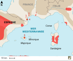 Le Faucon crécerellette a niché de nouveau aux Baléares plus de 40 ans