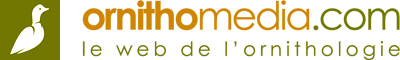 Logo Ornithomedia