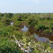 Le Tonlé Sap, un lac unique