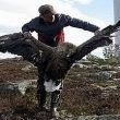 L’énergie éolienne serait une menace pour la biodiversité