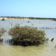 Bons spots égyptiens : les côtes de la Mer Rouge au sud d’El Gouna