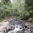 Découvrir les oiseaux du Costa Rica en famille : le Savegre Mountain Lodge