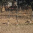 Séjour dans le sud du Portugal en octobre 2011