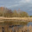 Le marais de la Touques : l’ornithologie « aux portes des casinos »