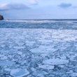 Observer les oiseaux sur Hokkaido en hiver