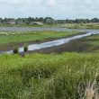 Le Groene Jonker (Pays-Bas), une vraie réussite