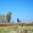 Observer les oiseaux à Chicago : le Montrose Point Bird Sanctuary