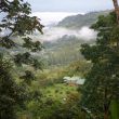 Découvrir les oiseaux du Costa Rica en famille : le Rancho Naturalista