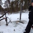 Autour d’ une mangeoire dans la taïga norvégienne