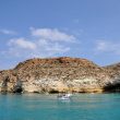 Observer les oiseaux sur les îles de Lampedusa et de Linosa (Italie)