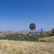 Les oiseaux de Komodo et de Rinca, deux îles de la Wallacea