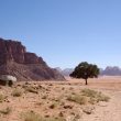 Séjour dans le sud de la Jordanie du 9 au 21 avril 2010