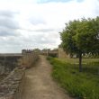 Observer les oiseaux dans la région de Badajoz (Estrémadure, Espagne)