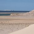 Observer les oiseaux au Sahara occidental