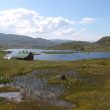 Séjour ornithologique en  Norvège du 29 mai au 21 juin 2007