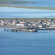 Observer les oiseaux dans l’archipel de  Saint-Pierre et Miquelon