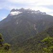 Voyage ornithologique dans la province de Sabah (Malaisie) du 28 juin au 3 août 2008  (1ère partie)