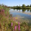 La réserve naturelle régionale du Grand-Voyeux (Seine-et-Marne) :  une reconversion réussie