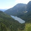 Découvrir les oiseaux du parc national d’Aigüestortes i Estany de Sant Maurici (Catalogne)