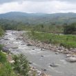 Découvrir les oiseaux du Costa Rica en famille : le Talari Mountain Lodge