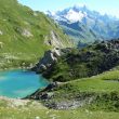 Observer les oiseaux dans le massif du Beaufortain (Savoie)