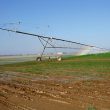 La Sun Farm de Sohar (Oman), un oasis pour les migrateurs