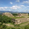 Observer les oiseaux dans l’état d’Oaxaca (Mexique)