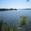 Observer les oiseaux en Brenne (Indre)