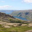 Observer les oiseaux sur la péninsule islandaise des Westfjords