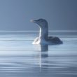 Plongeon à bec blanc juvénile sur le lac du Der