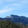 Randonnée ornithologique dans les Snow Mountains (Indonésie)