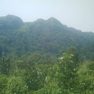 Étude et protection de la Serranía de los Churumbelos (Colombie)