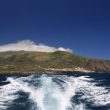 Observer les oiseaux sur l’île de Corvo (Açores)