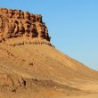 Séjour ornithologique au Maroc en avril 2014