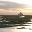 Où observer les oiseaux dans la baie du Mont-Saint-Michel ?