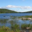 L’observation des oiseaux dans la région de Thetford Mines (Canada)