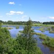 Observer les oiseaux au printemps en Carélie du Nord et du Sud (Finlande)