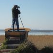 Observer les oiseaux de l’étang de Canet ou de Saint-Nazaire (Pyrénées-Orientales)