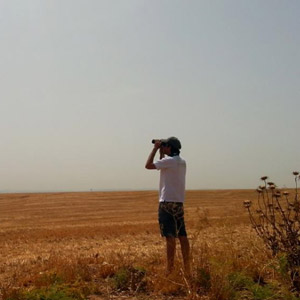 Une rencontre très attendue avec le Bateleur des savanes en Israël