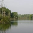 Le lac de Maine, un fragile équilibre entre oiseaux et loisirs