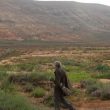 Observer les oiseaux sur l’île de Fuerteventura (Canaries)