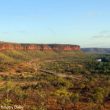 Voyage ornithologique dans le Territoire du Nord (Australie)