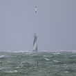 Fou de Bassan dans la tempête