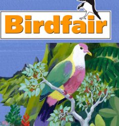 British Birdwatching Birdfair 2017