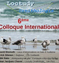 6ème colloque international d’ornithologie de Loctudy