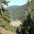 Découvrir les oiseaux des Hautes-Vosges dans les environs de Ban-sur-Meurthe-Clefcy (Vosges)