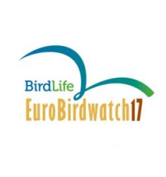 Journées Européennes de la Migration (Eurobirdwatch) 2017