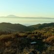 Séjour ornithologique dans le parc naturel du détroit de Gibraltar (Espagne) en octobre 2017