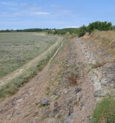 Sortie ornithologique dans la baie de Lancieux