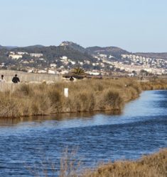 Sortie de découverte des oiseaux des Salins d’Hyères